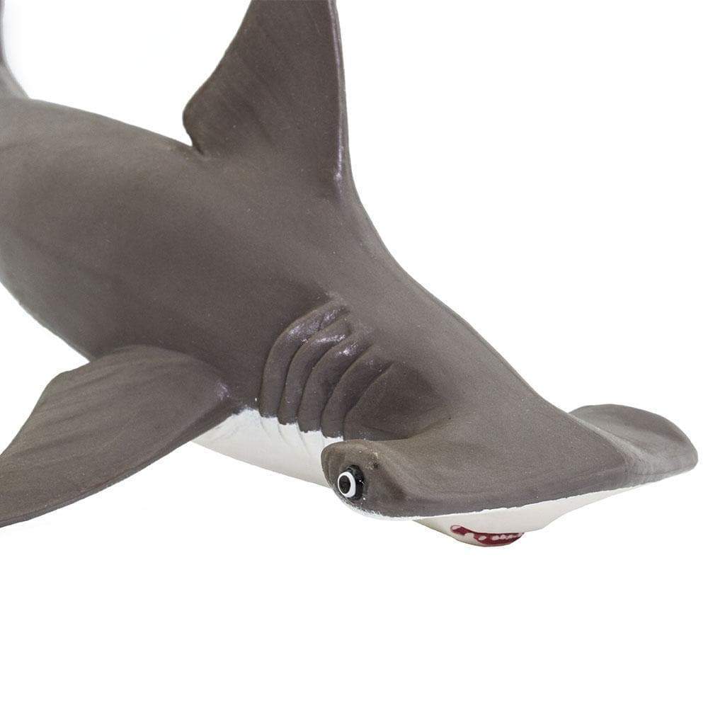 Hammerhead Shark Baby Toy | Incredible Creatures | Safari Ltd®