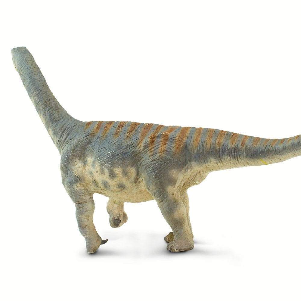 Camarasaurus Toy | Dinosaur Toys | Safari Ltd®