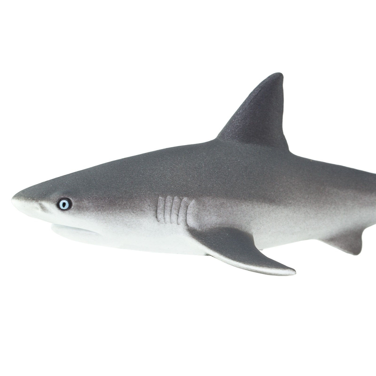 Gray Reef Shark Toy | Sea Life | Safari Ltd®