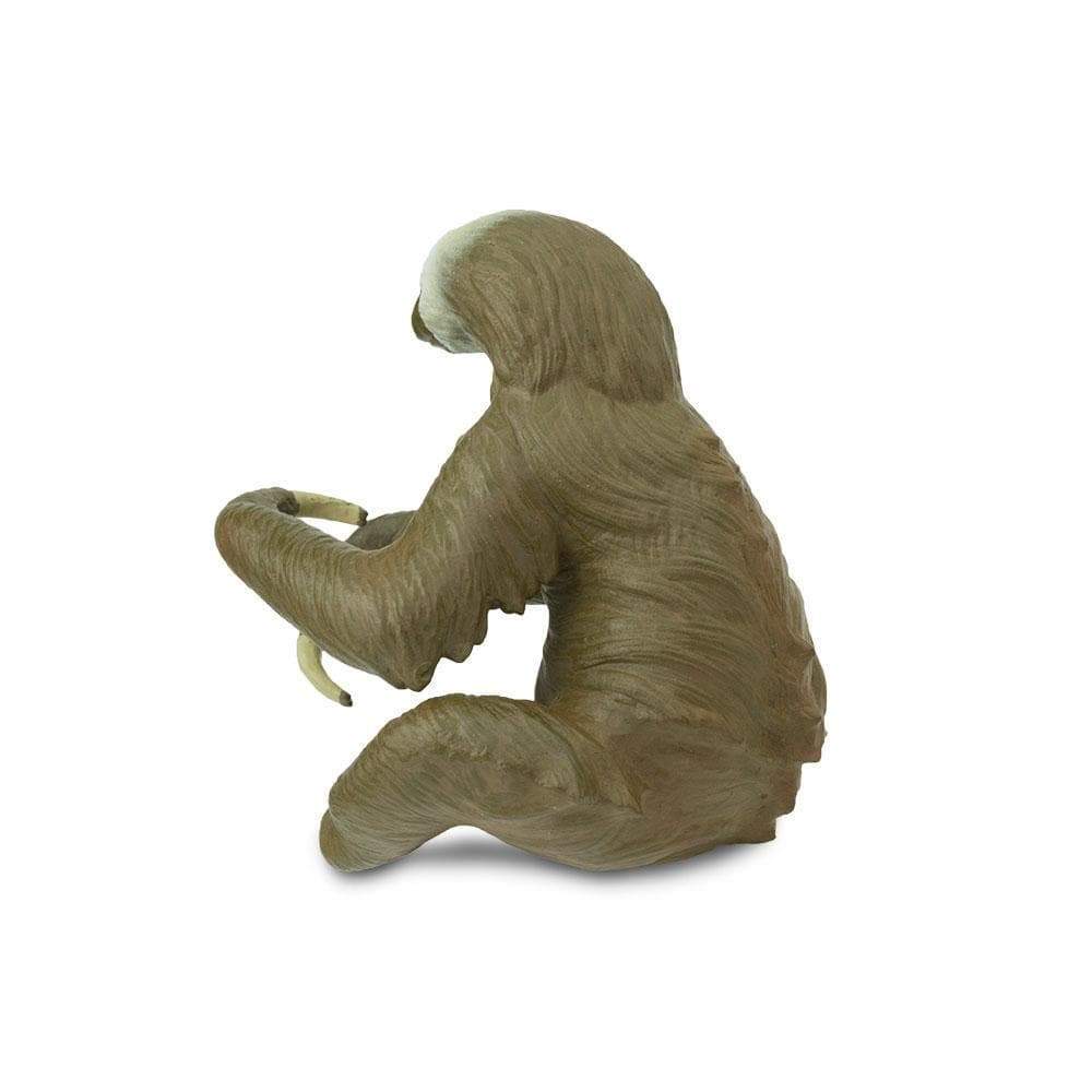 Two-Toed Sloth Toy | Wildlife Animal Toys | Safari Ltd®