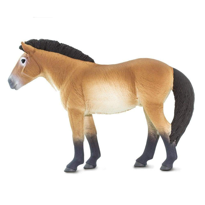 Przewalski's Horse - Safari Ltd®