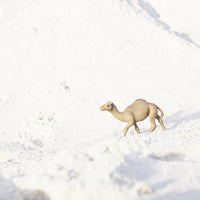 Dromedary Camel Toy | Wildlife Animal Toys | Safari Ltd®