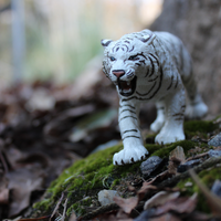 White Bengal Tiger Toy | Wildlife Animal Toys | Safari Ltd®