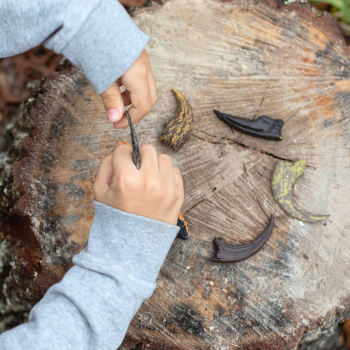 GEOWorld Dino Claws Replica Collection - 6 pieces |  | Safari Ltd®