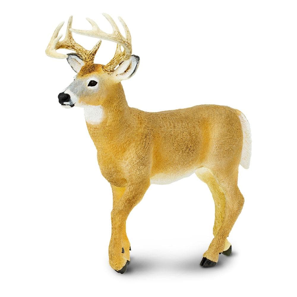 Whitetail Deer Buck Toy | Safari Ltd®
