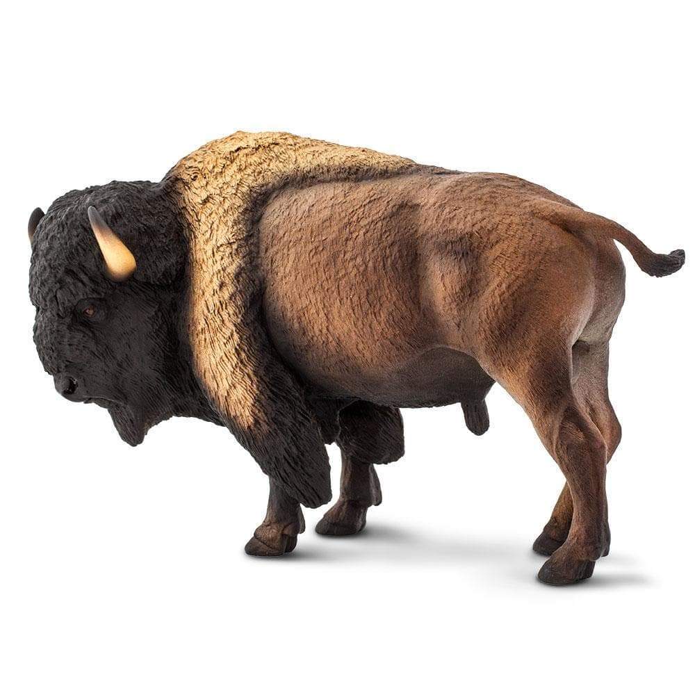 Bison Toy | Safari Ltd®