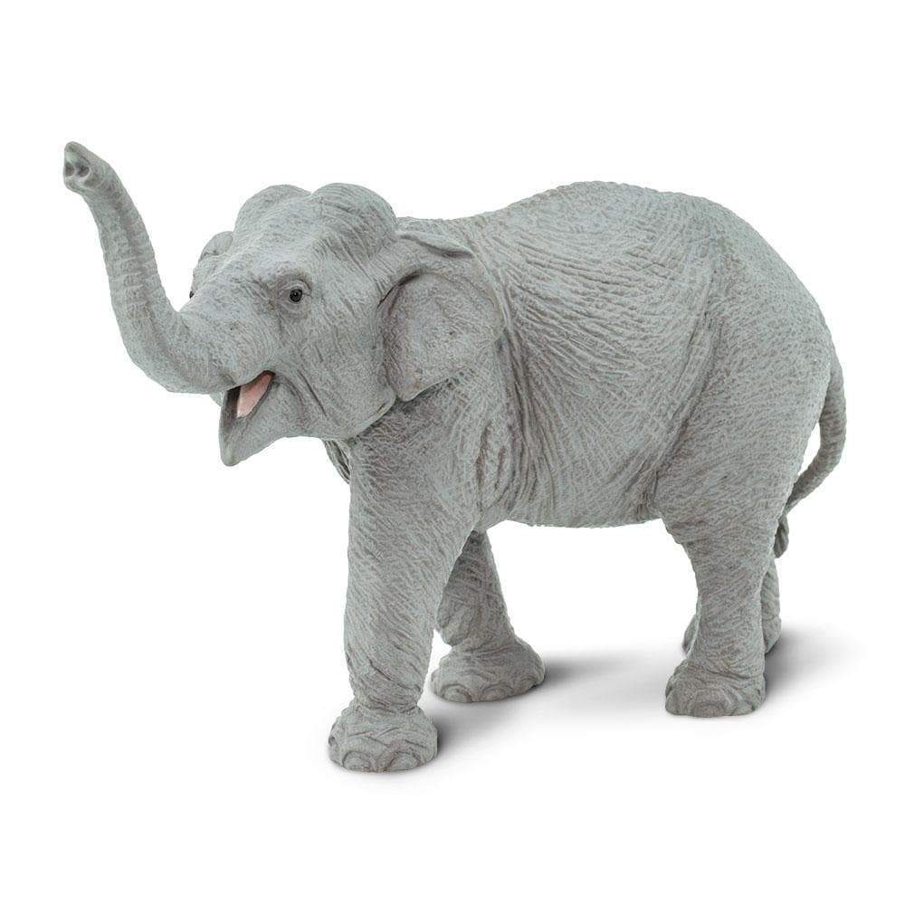 Asian Elephant Toy Figure – Realistic Wildlife Model | Safari Ltd