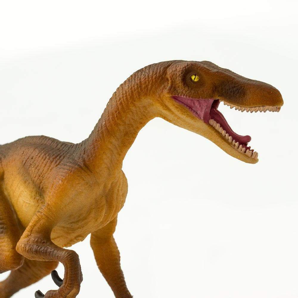 Velociraptor Toy | Dinosaur Toys | Safari Ltd®