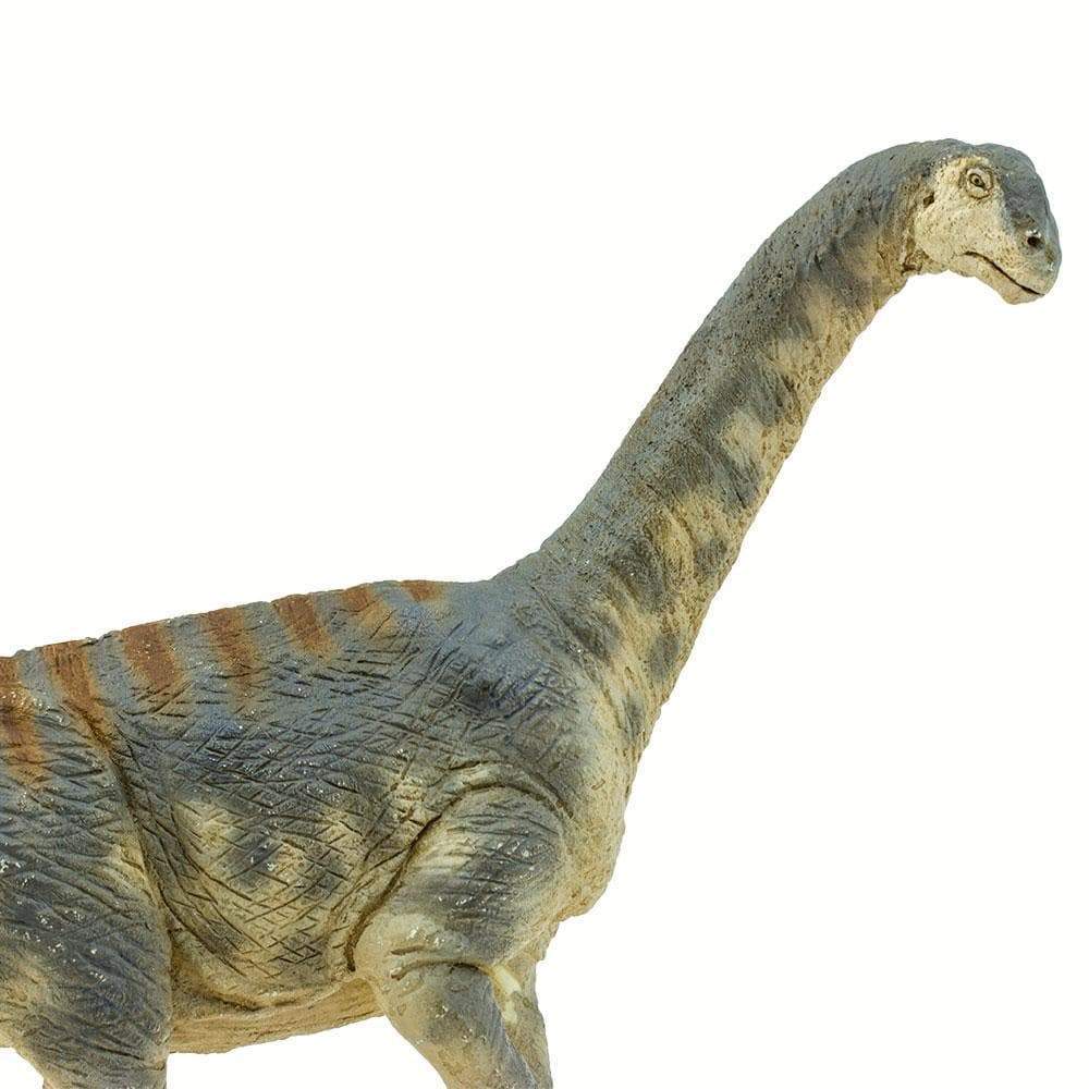 Camarasaurus Toy | Dinosaur Toys | Safari Ltd®