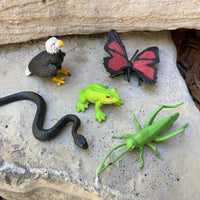 In the Woods TOOB® | TOOBS® - Mini Toys | Safari Ltd®