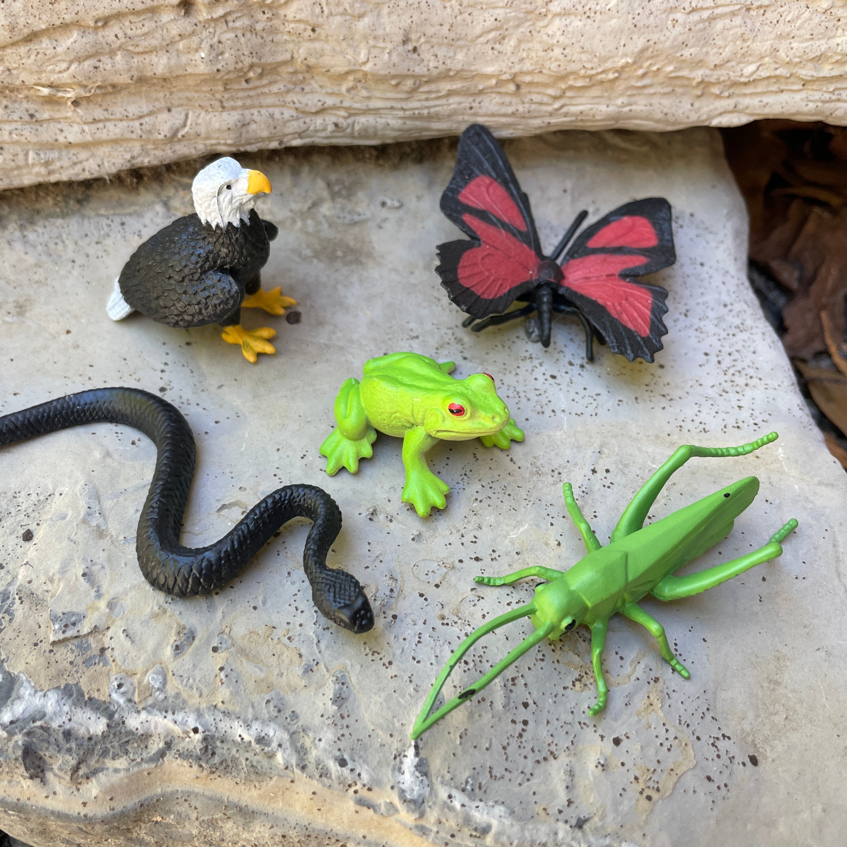 In the Woods TOOB® | TOOBS® - Mini Toys | Safari Ltd®