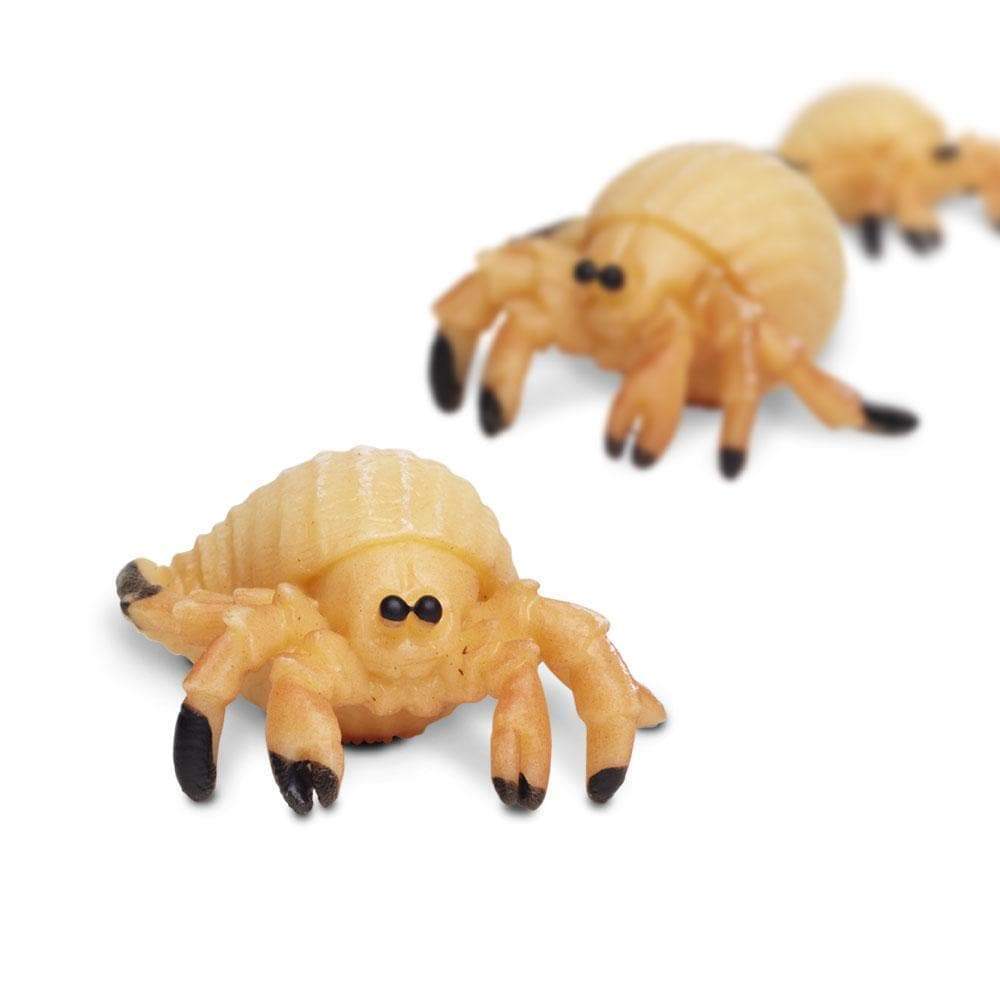 Hermit Crabs - 192 pcs - Good Luck Minis® | Safari Ltd®