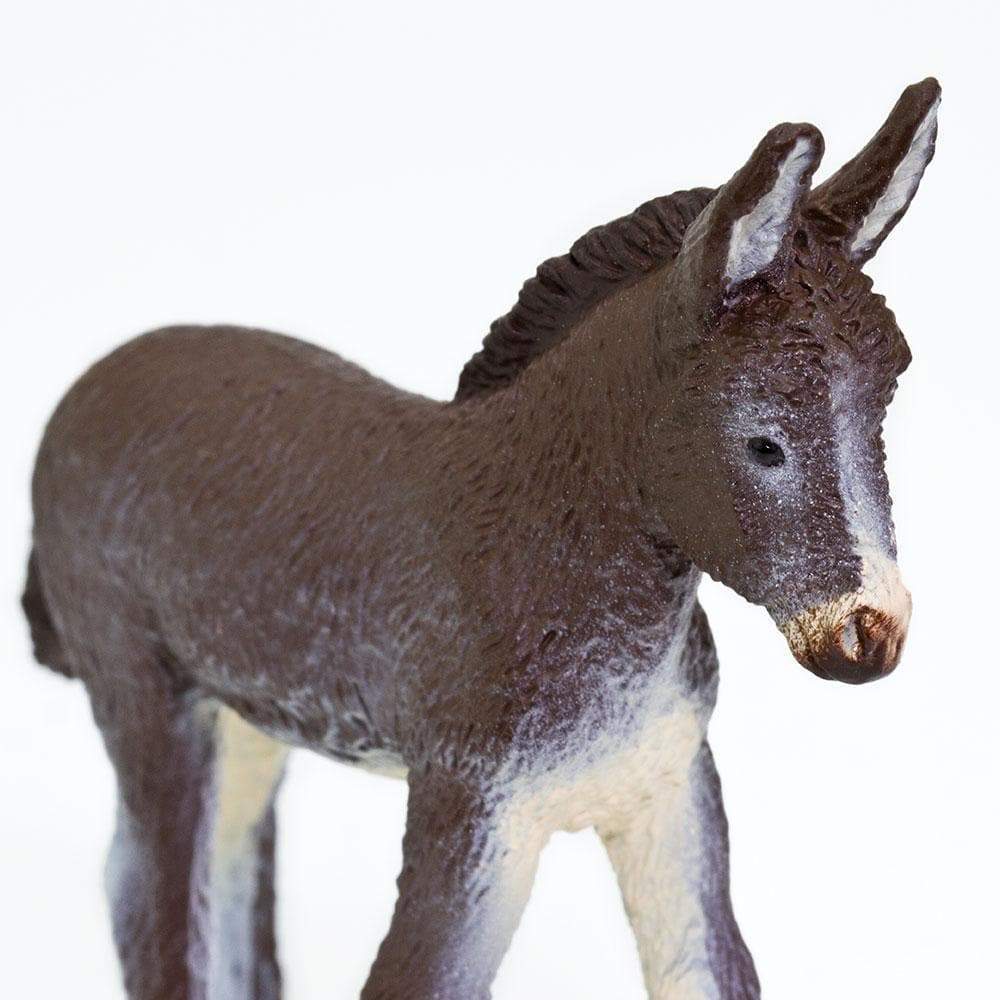 Donkey Foal Toy | Farm | Safari Ltd®
