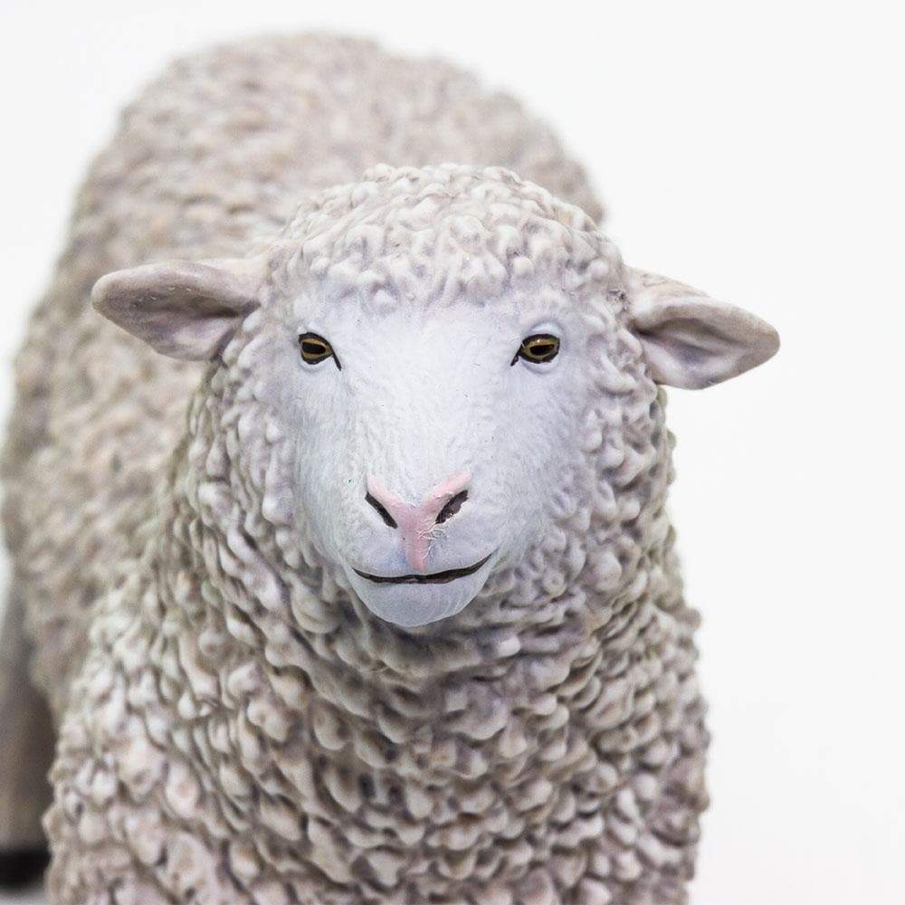 Sheep | Farm | Safari Ltd®