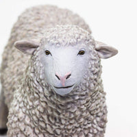 Sheep | Farm | Safari Ltd®