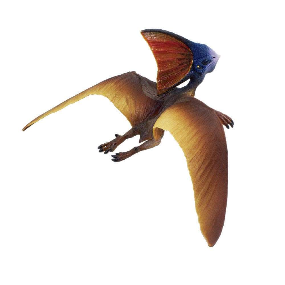 Tapejara | Dinosaur Toys | Safari Ltd®
