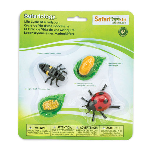 Life Cycle of a Ladybug - Safari Ltd®