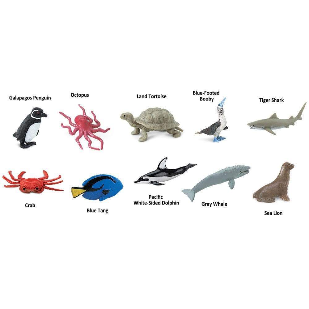 Pacific TOOB® | TOOBS® - Mini Toys | Safari Ltd®