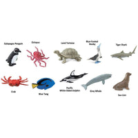Pacific TOOB® | TOOBS® - Mini Toys | Safari Ltd®