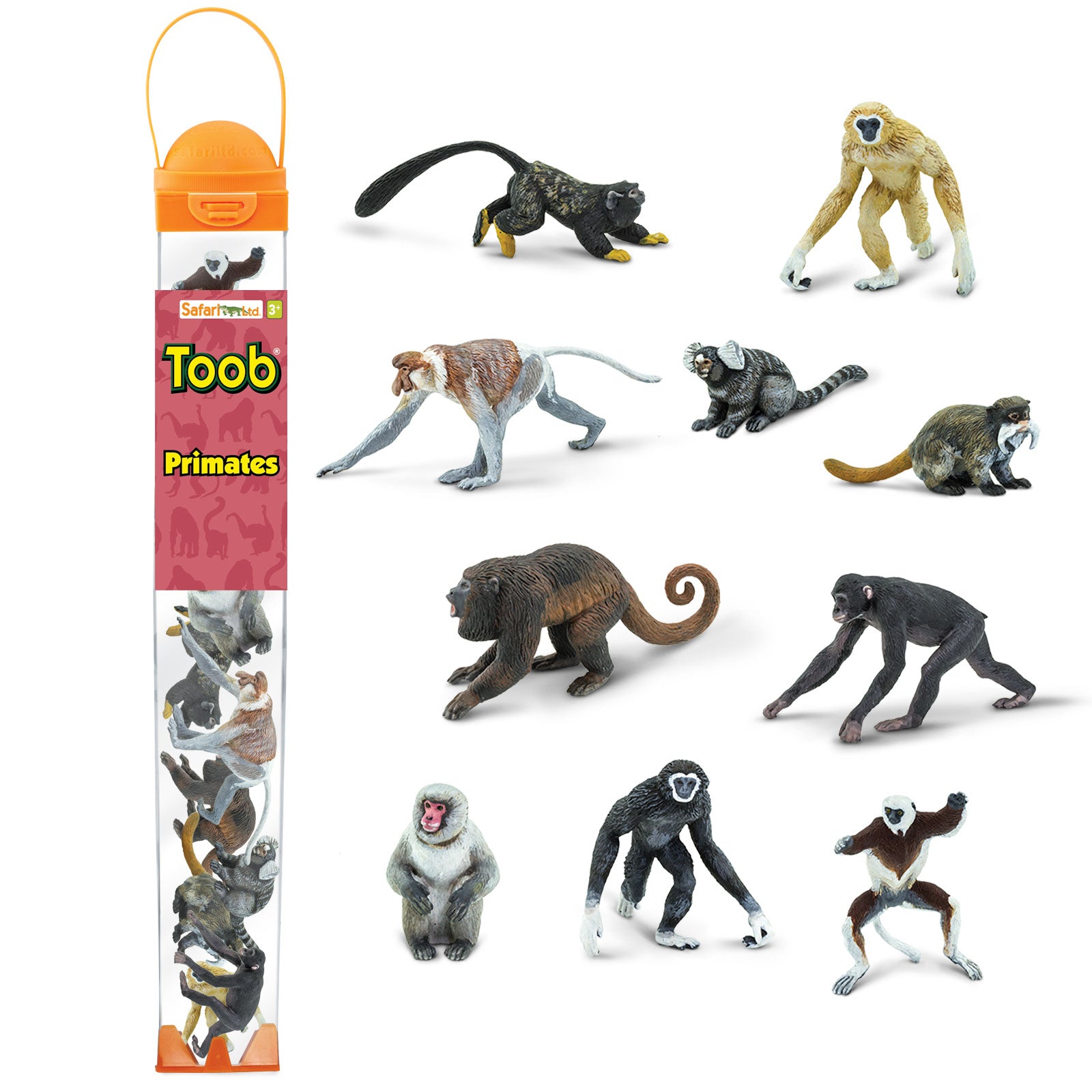 Primates TOOB® | Safari Ltd®
