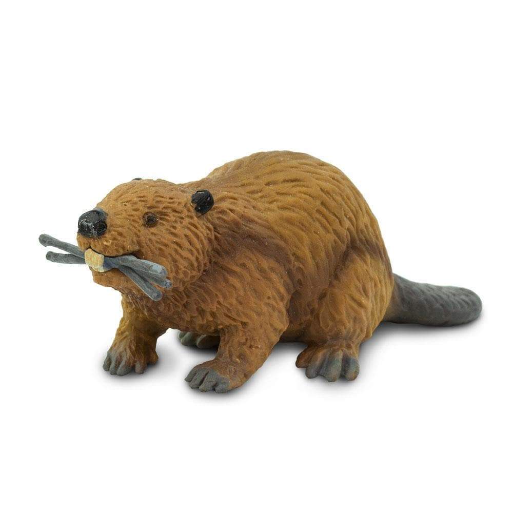 Beaver Toy | Wildlife Animal Toys | Safari Ltd®
