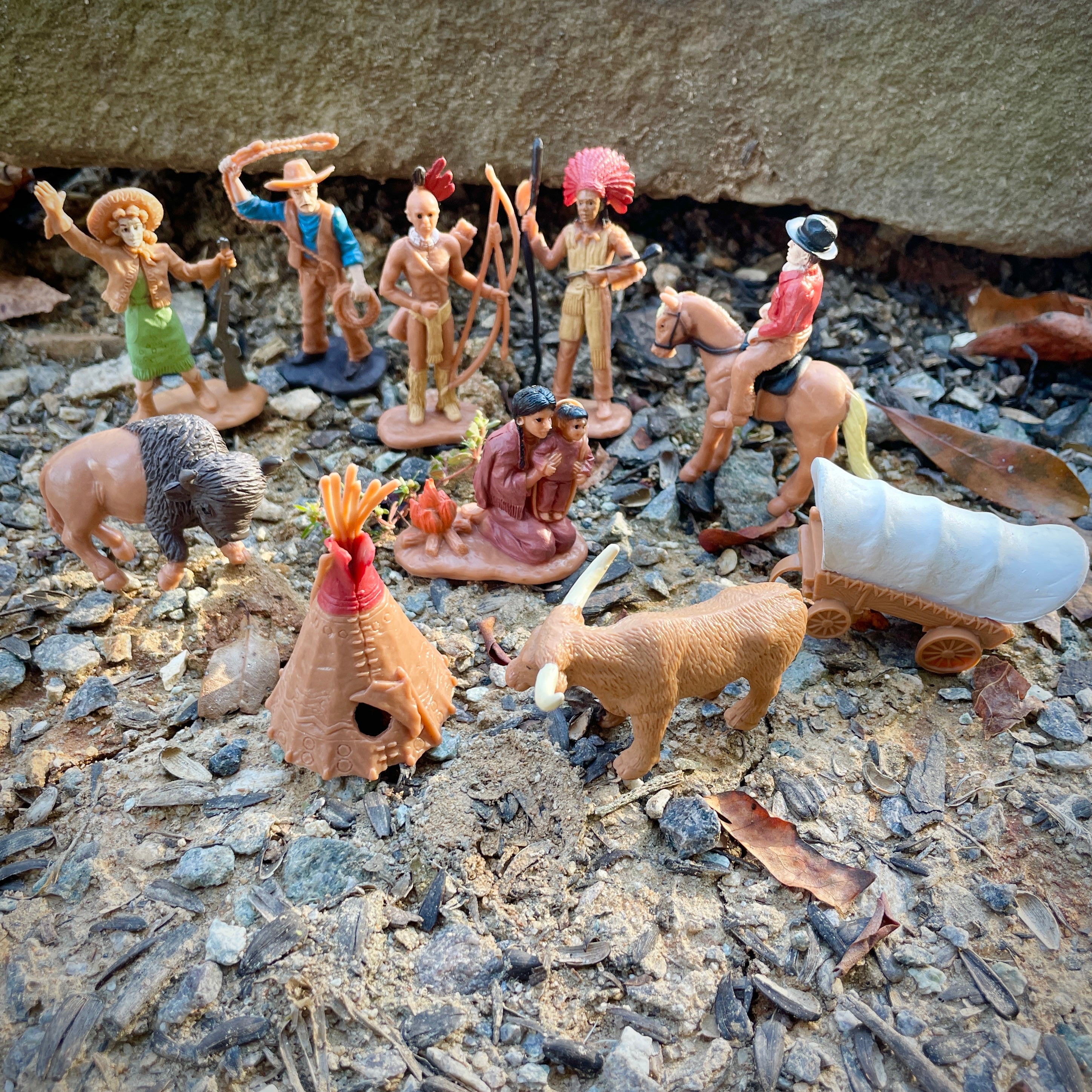 Wild West TOOB® | TOOBS® - Mini Toys | Safari Ltd®