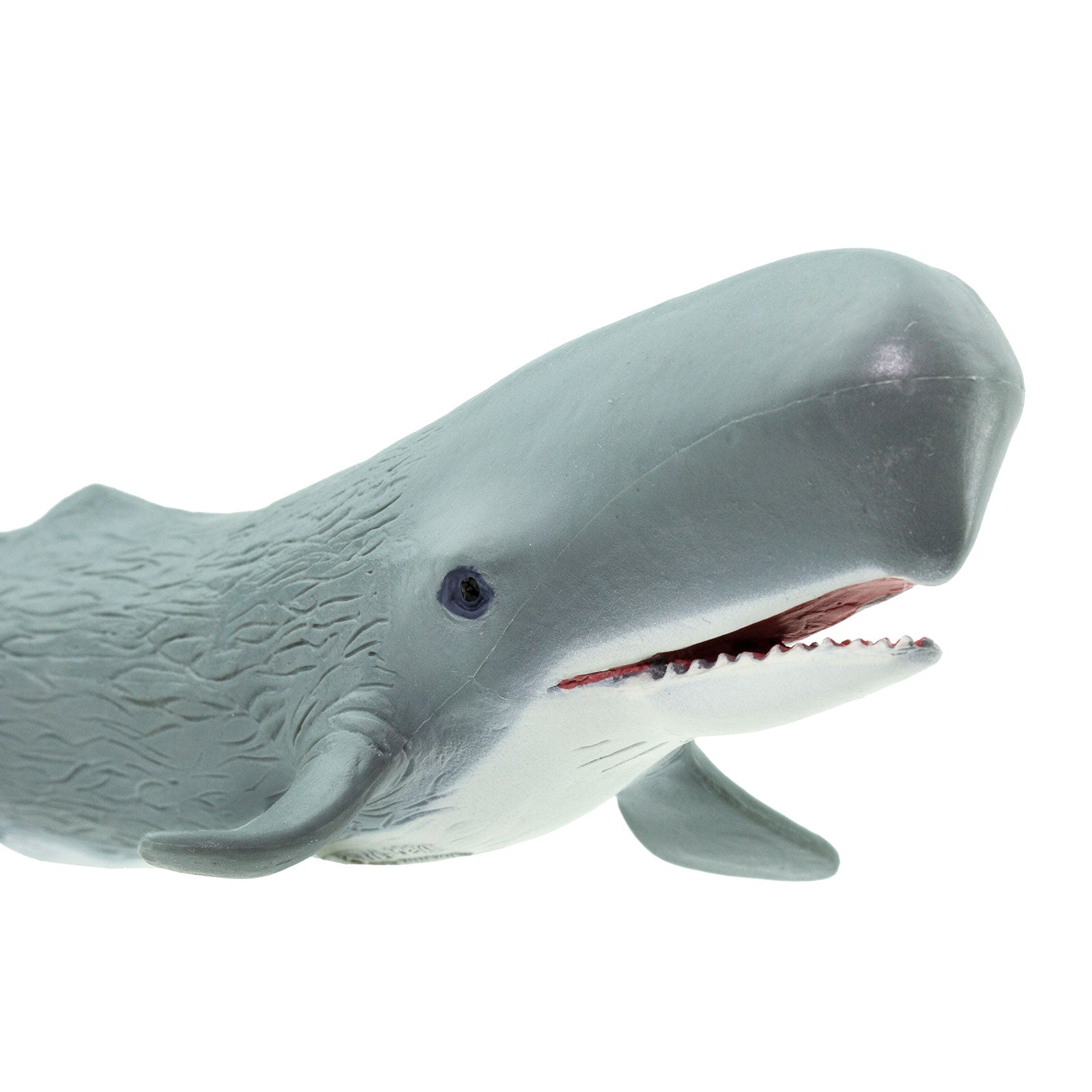 Sperm Whale Toy | Sea Life | Safari Ltd®