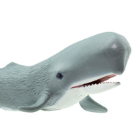 Sperm Whale Toy | Sea Life | Safari Ltd®