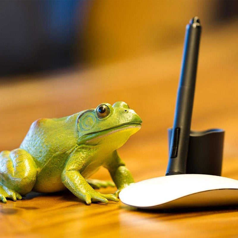 American Bullfrog Amphibian Toy | Safari Ltd®