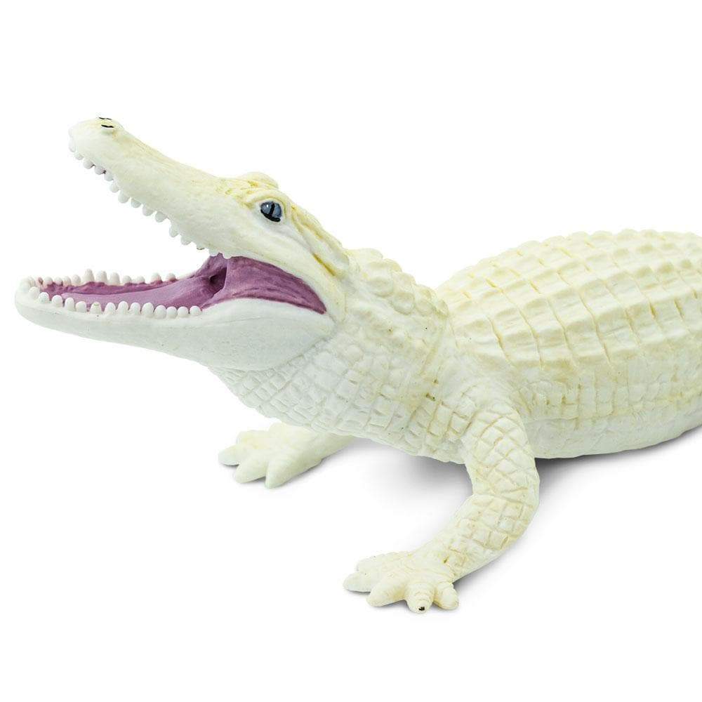 White Alligator Toy | Wildlife Animal Toys | Safari Ltd®