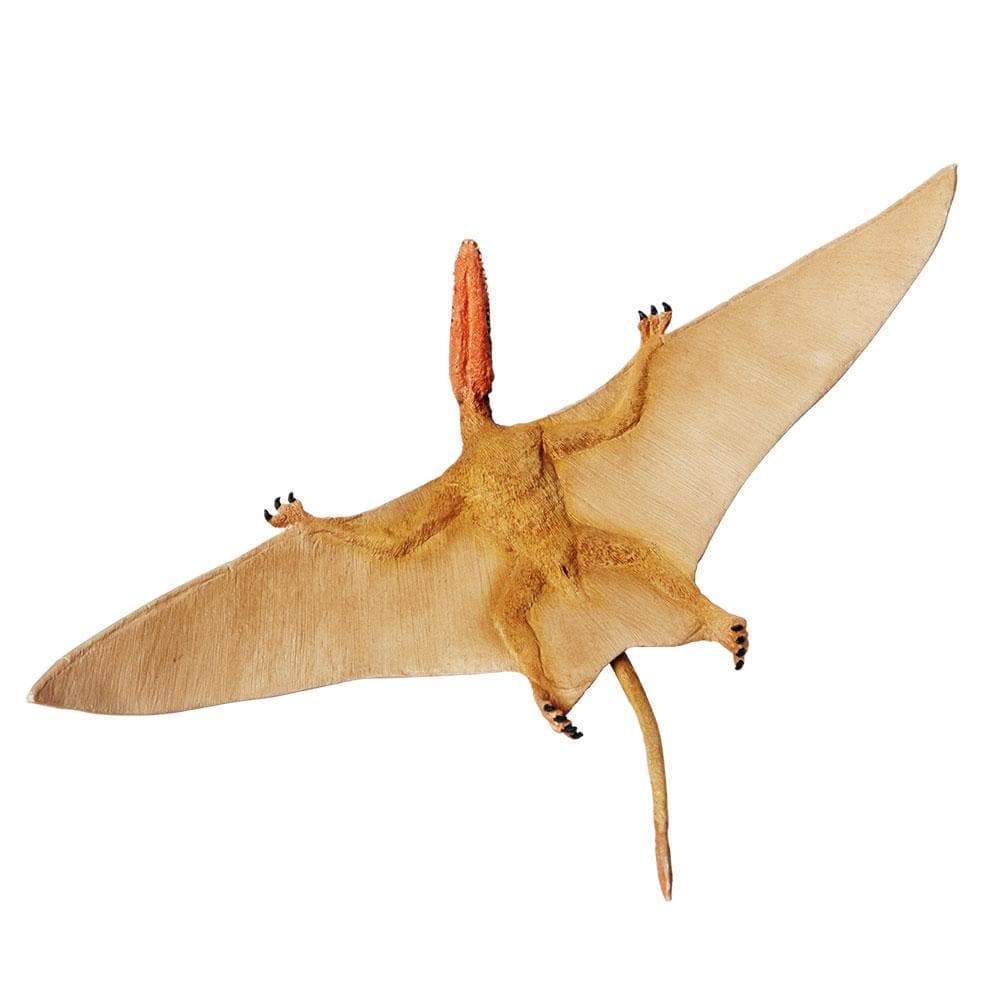Dimorphodon Toy | Dinosaur Toys | Safari Ltd®