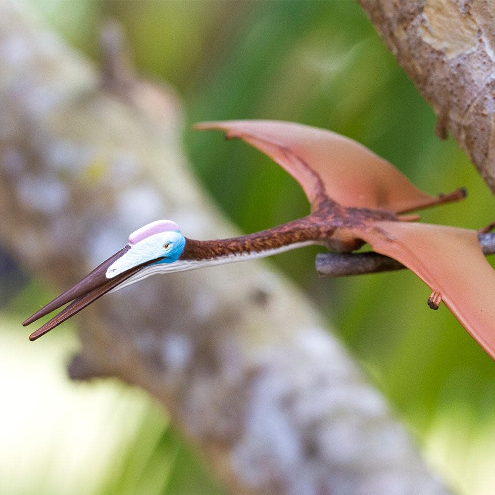 Quetzalcoatlus Toy | Dinosaur Toys | Safari Ltd®