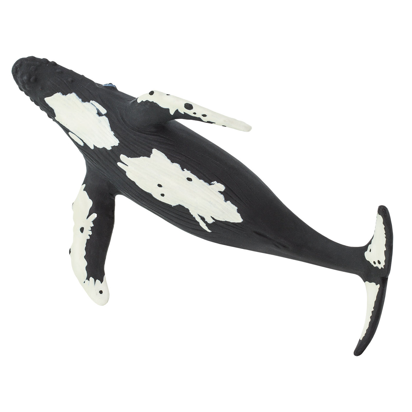 Humpback Whale Toy | Sea Life | Safari Ltd®