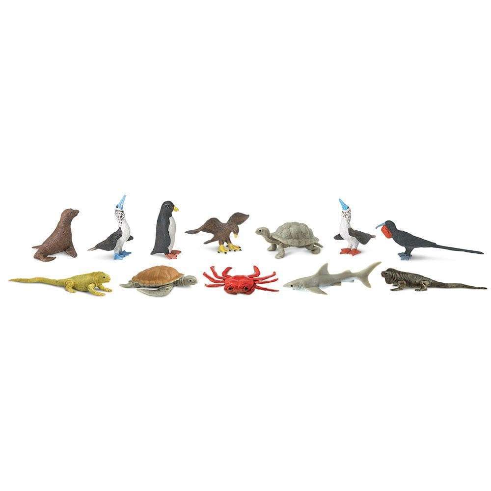Galapagos TOOB® | TOOBS® - Mini Toys | Safari Ltd®