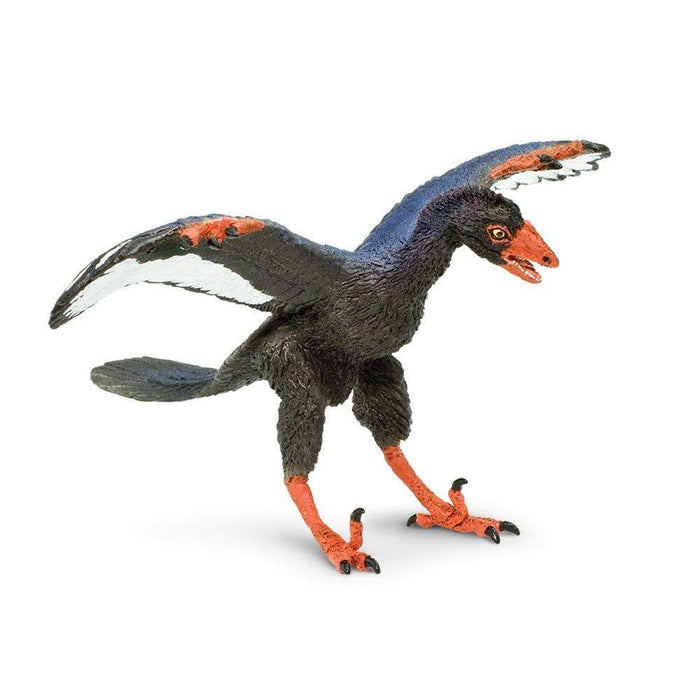 Archaeopteryx Toy | Dinosaur Toys | Safari Ltd®
