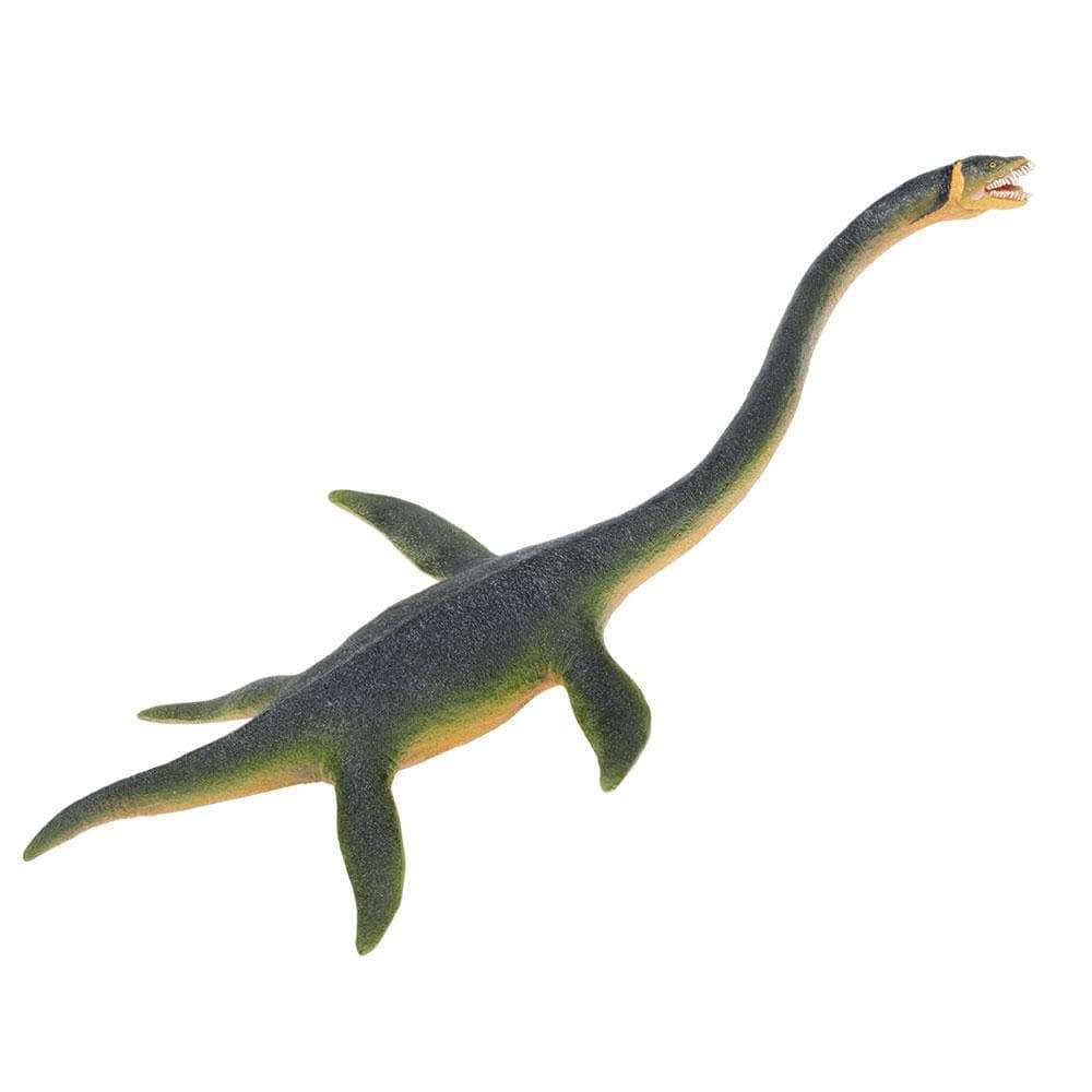 Elasmosaurus Toy Safari Ltd®