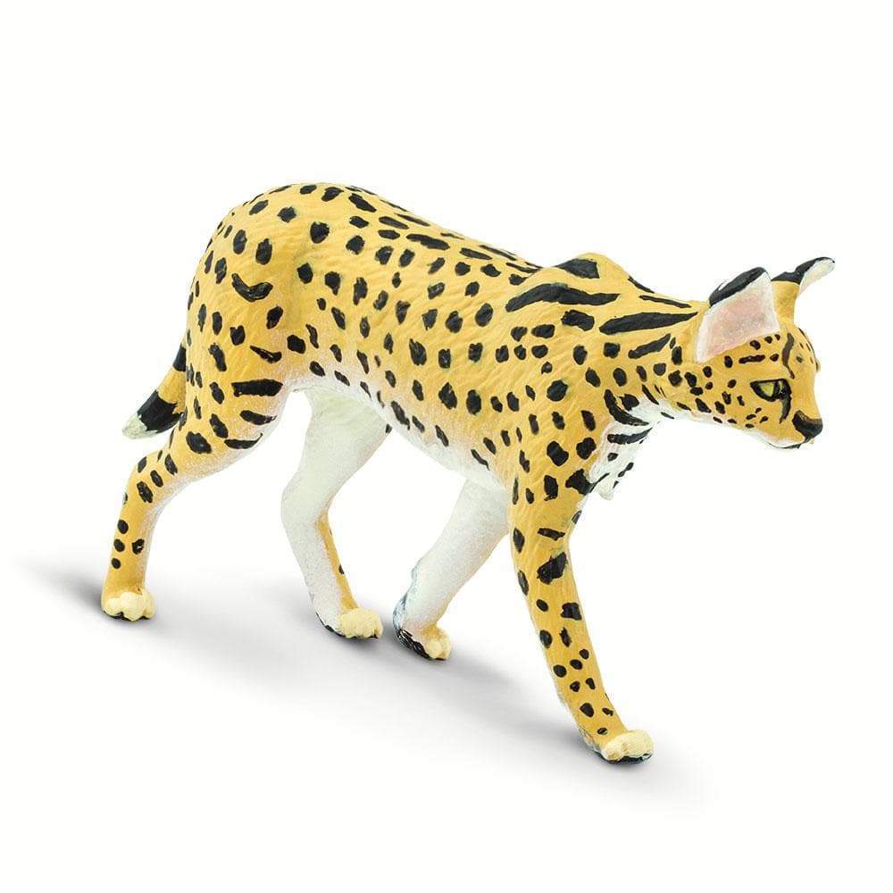 新品未開封 けものフレンズ SERVAL SCALE FIGURE サーバル 1/7スケール フィギュア サーバルキャット KADOKAWA/カドカワ Amazon | けものフレンズ サーバル 1/7スケール PVC製 塗装済み完成品