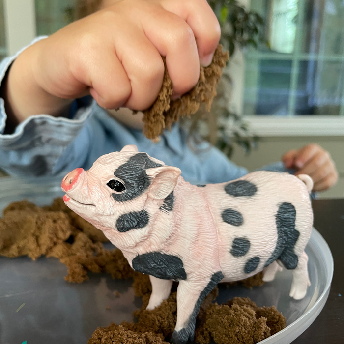 Pot-Bellied Pig Toy | Incredible Creatures | Safari Ltd®