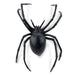 Black Widow Spider Toy | Incredible Creatures | Safari Ltd®