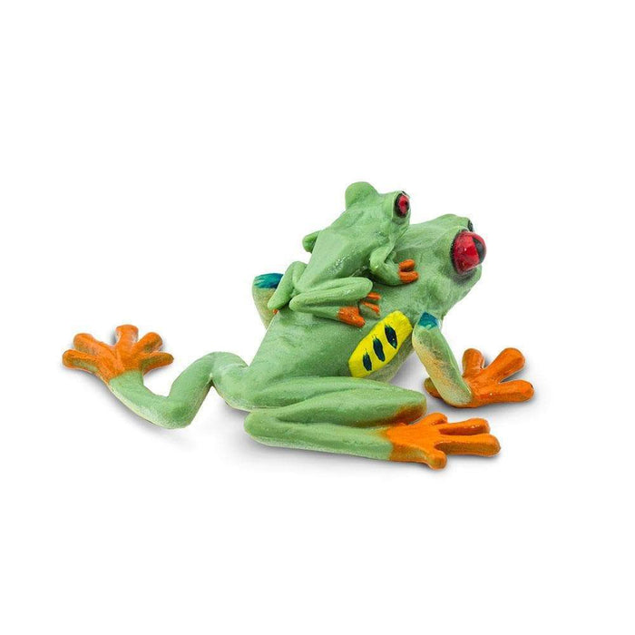 Red-eyed Tree Frog Toy | Incredible Creatures | Safari Ltd®