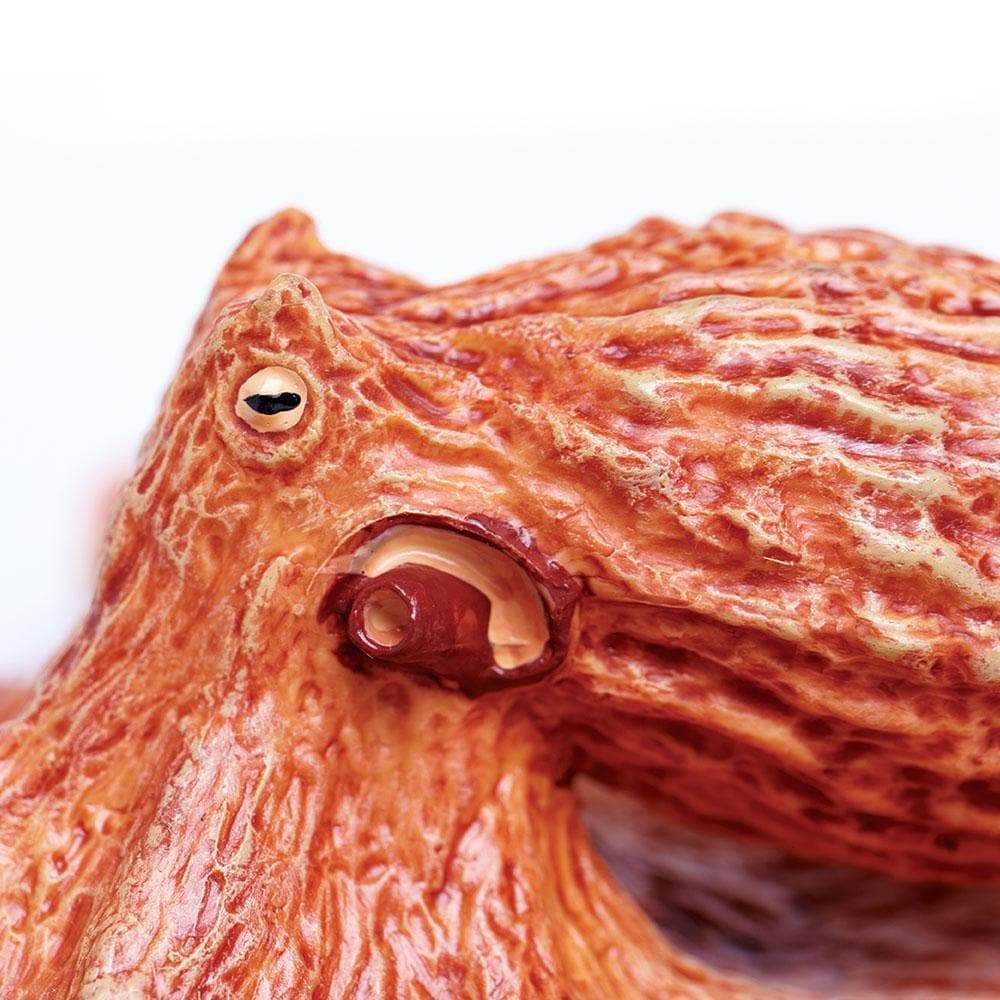 Giant Pacific Octopus Toy | Incredible Creatures | Safari Ltd®