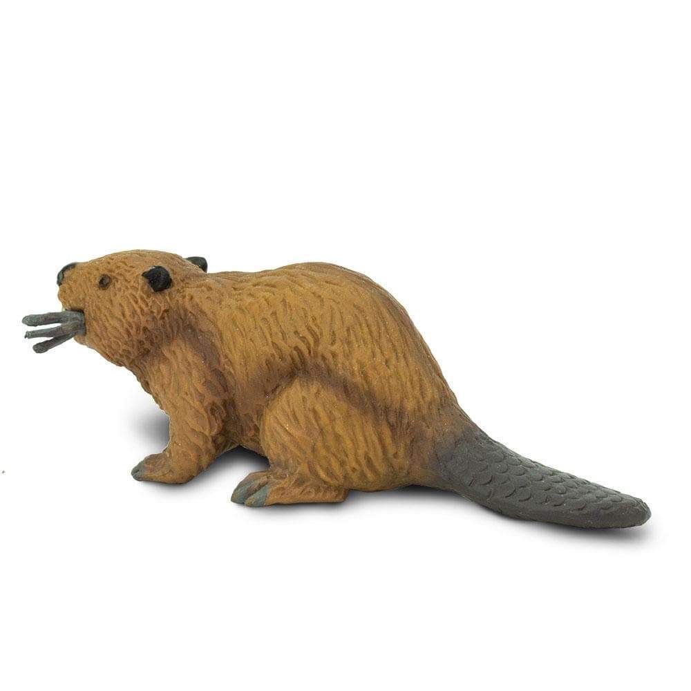 Beaver Toy | Wildlife Animal Toys | Safari Ltd®