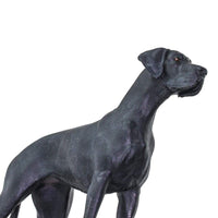 Great Dane Toy | Farm | Safari Ltd®