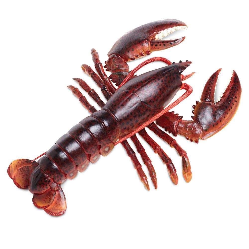 Maine Lobster Toy | Incredible Creatures | Safari Ltd®