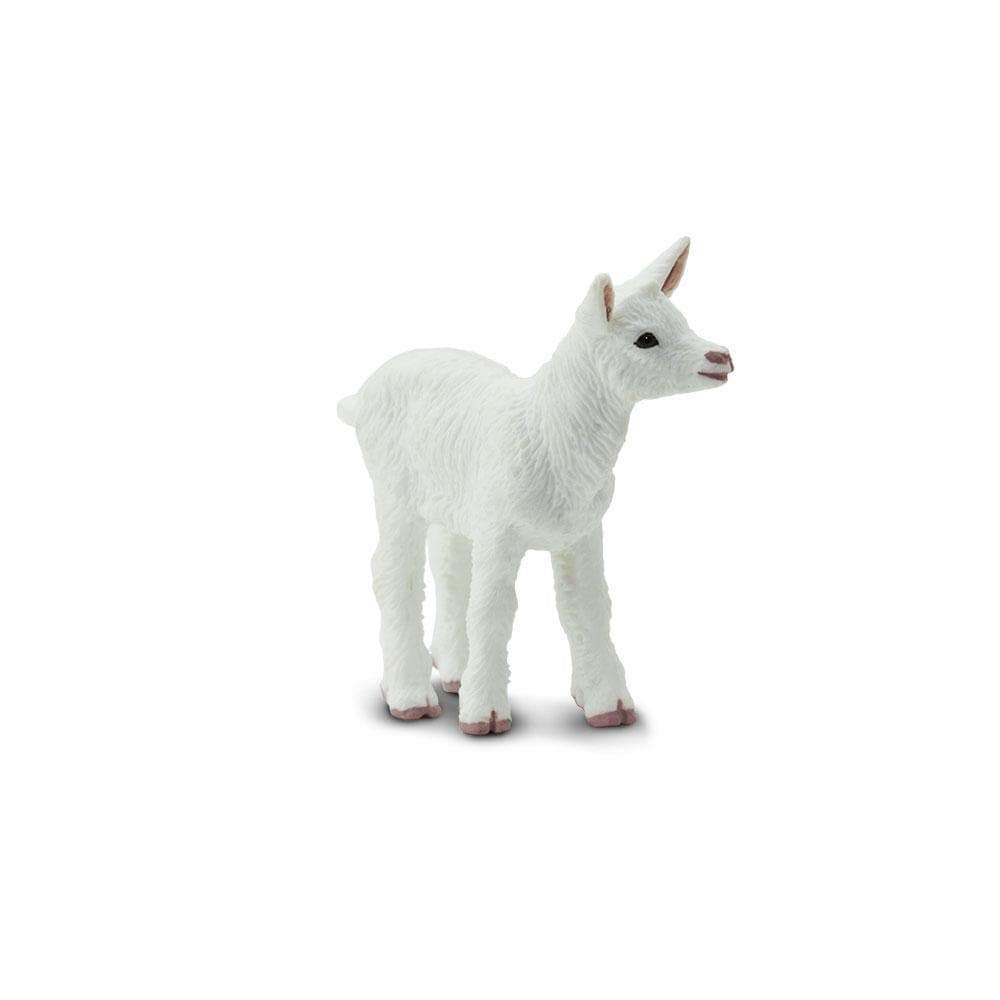 Baby "Kid" Goat Toy