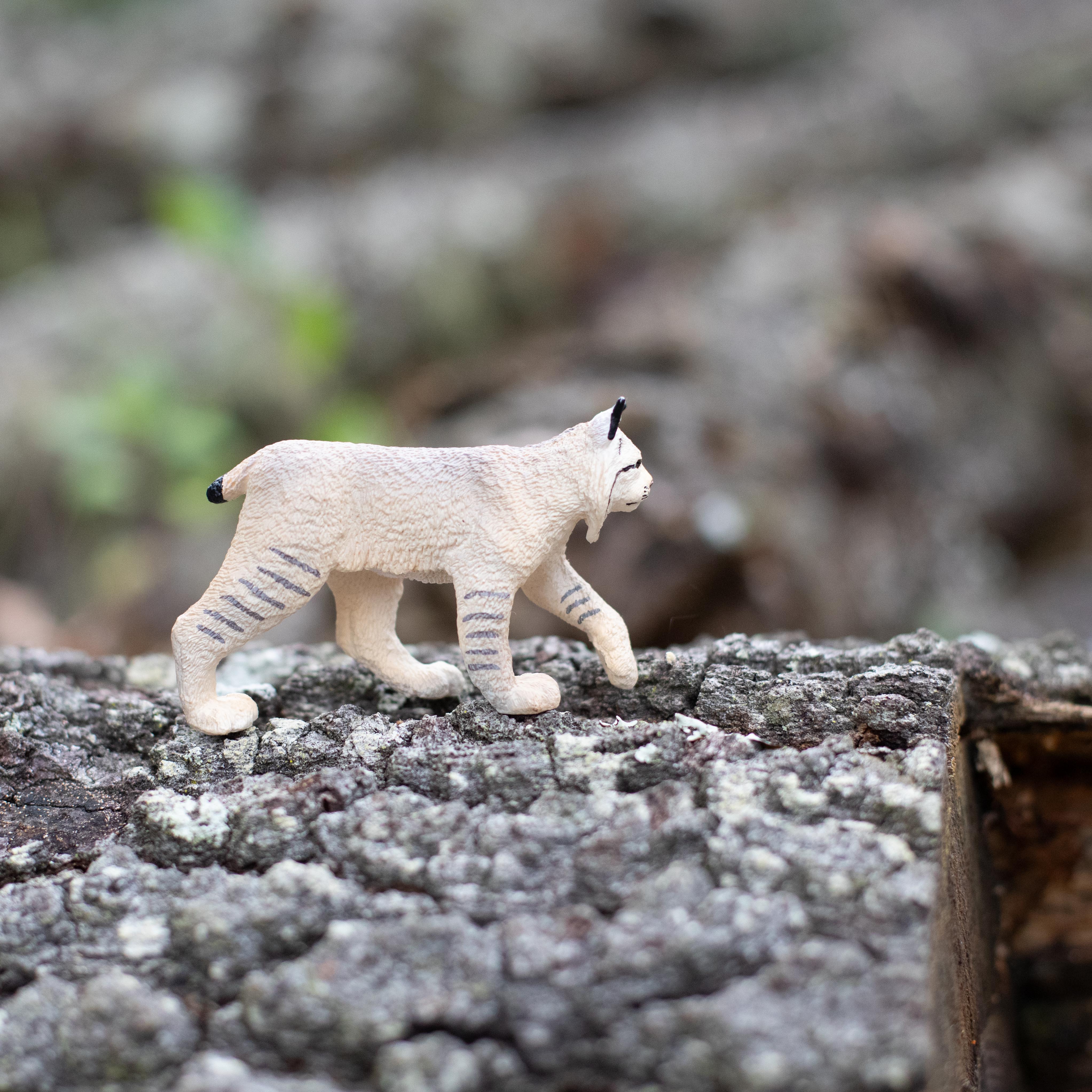Lynx Toy | Safari Ltd®