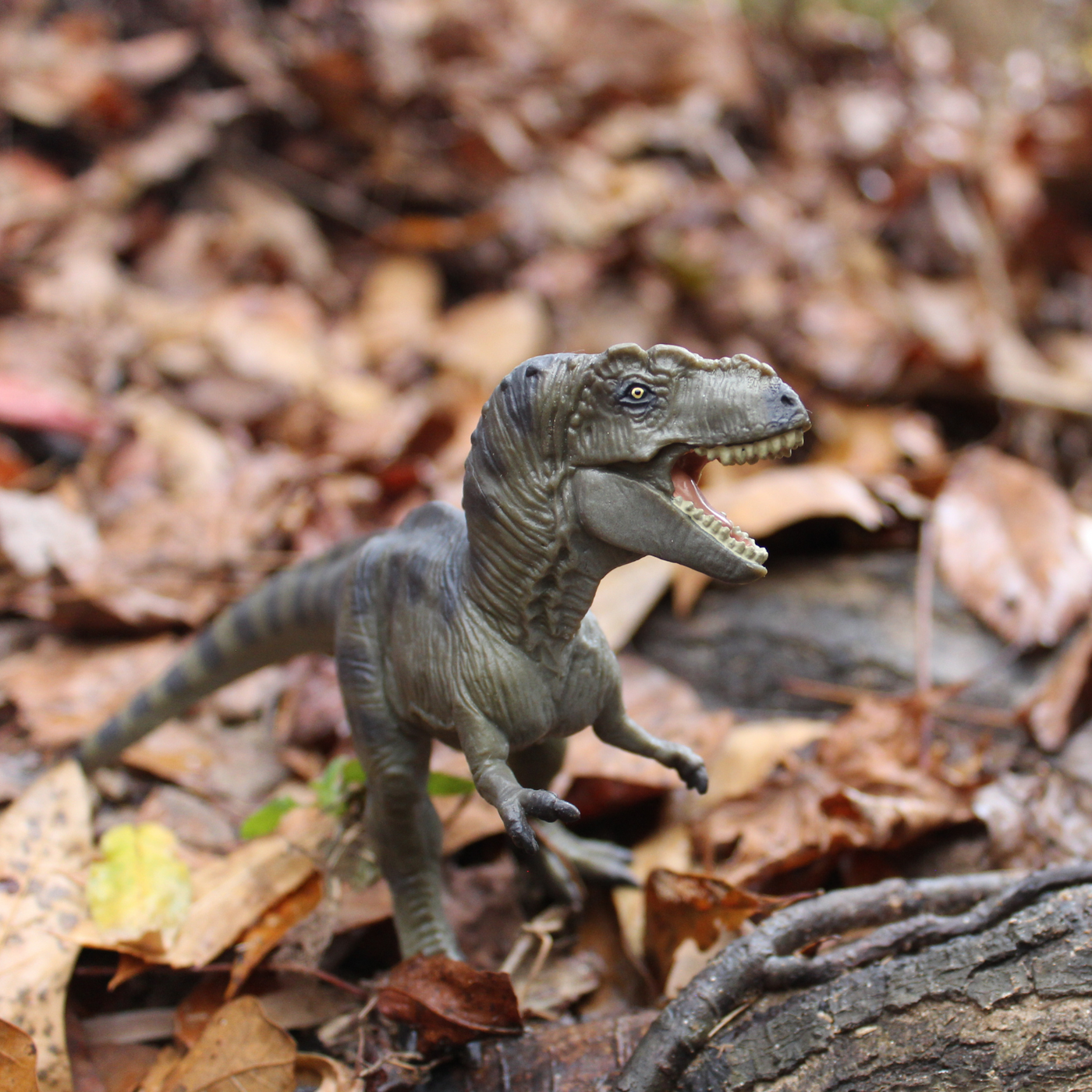 Tyrannosaurus Rex Toy | Dinosaur Toys | Safari Ltd®