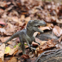 Tyrannosaurus Rex Toy | Dinosaur Toys | Safari Ltd®