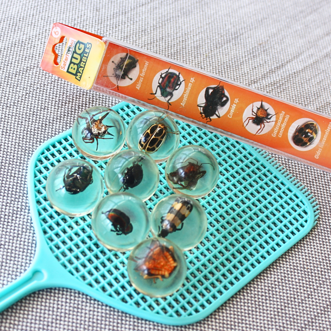 Travel Bug Marble Safari Ltd Geoworld Bug Marbles | Safari Ltd®