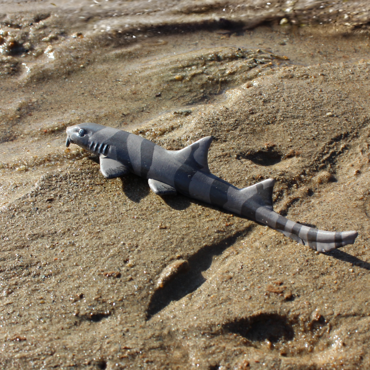 Bamboo Shark Toy | Sea Life | Safari Ltd®